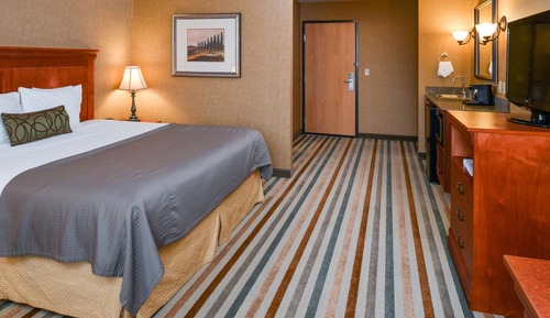 Business Room, 1 King Bed, Non Smoking, Refrigerator & Microwave