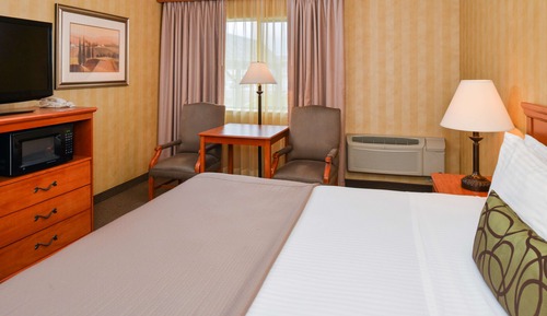 Standard Room, 1 King Bed, Non Smoking, Refrigerator & Microwave (Pet Friendly)