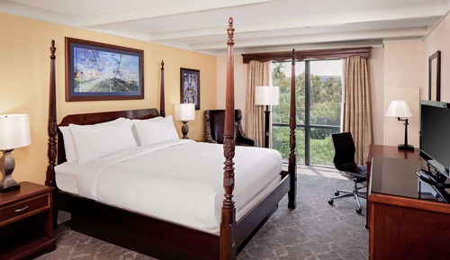 Room, 1 King Bed, Accessible (Mobility & Hearing, Roll-In Shower)