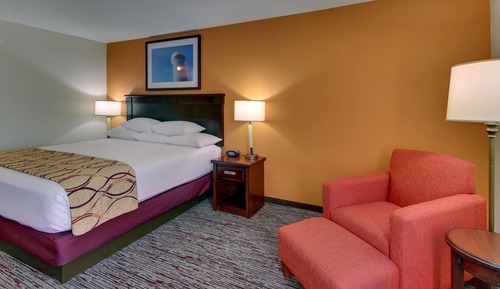 Room, 1 King Bed, Accessible (Roll in Shower)