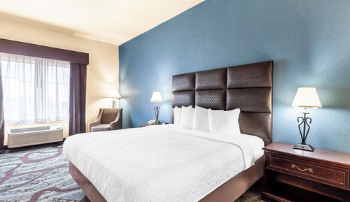 Standard Room, 1 King Bed, Non Smoking, Refrigerator & Microwave