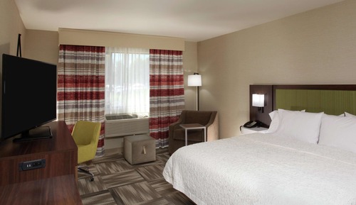 Room, 1 King Bed with Sofa bed, River View