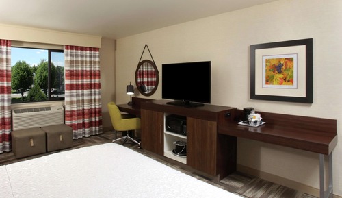 Room, 1 King Bed, Accessible (Mobility & Hearing, Roll-in Shower)