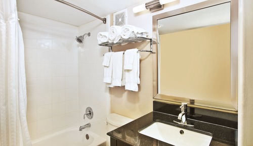 Room, 1 King Bed, Non Smoking