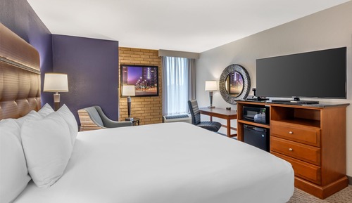 Room, 1 King Bed, Accessible (Roll in Shower)
