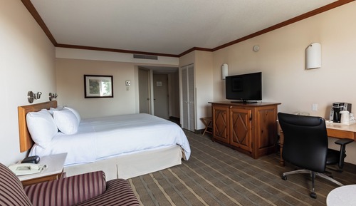 Business Room, 1 King Bed