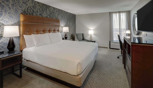 Room, 1 King Bed, Accessible (Roll in Shower)