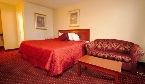 Standard Room, 1 King Bed with Sofa bed