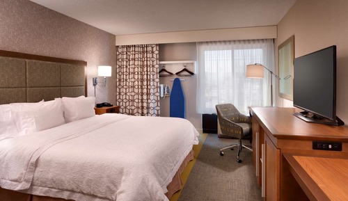 Room, 1 King Bed, Accessible, Bathtub