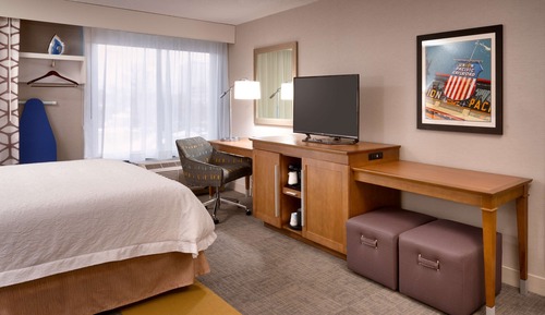 Room, 1 King Bed, Non Smoking, Refrigerator (Shower Only)