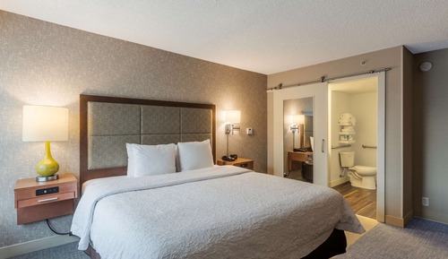 Suite, 1 Bedroom, Accessible, Bathtub