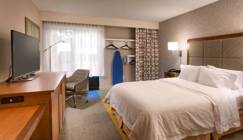 Room, 1 Queen Bed, Accessible, Non Smoking (Mobility & Hearing, Roll-in Shower)