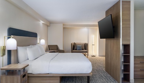 Suite, 1 Bedroom