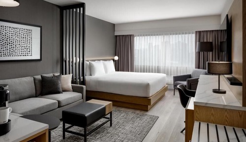 Room, 1 King Bed with Sofa bed