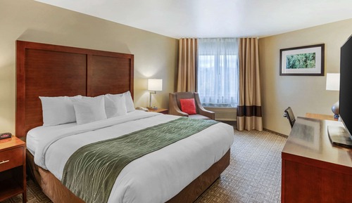 Standard Room, 1 King Bed, Non Smoking