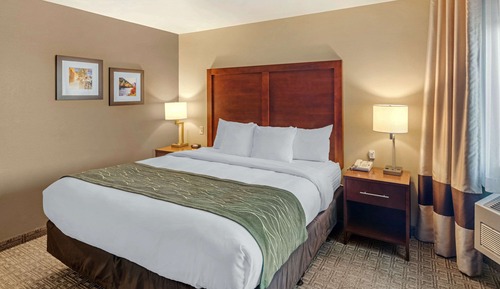 Room, 1 King Bed, Accessible, Non Smoking