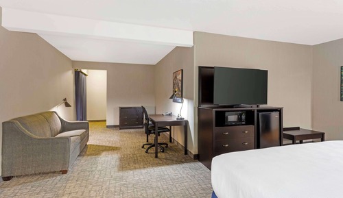 Executive Room, 1 King Bed, Refrigerator & Microwave, Pool View