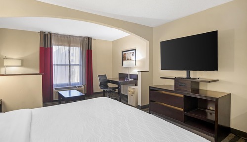 Standard Room, 1 King Bed, Non Smoking, Refrigerator & Microwave