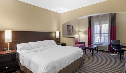 Standard Room, 1 King Bed, Non Smoking, Jetted Tub