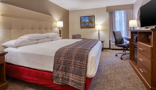 Room, 1 King Bed, Accessible (Roll in Shower)