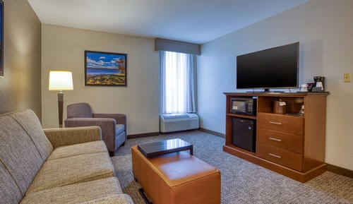 Suite, 1 King Bed with Sofa bed (Sofa Sleeper, 2 Rooms)