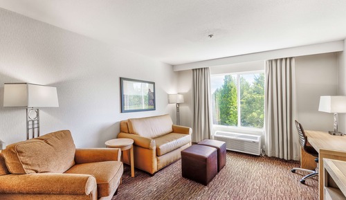 Room, 1 King Bed, Accessible