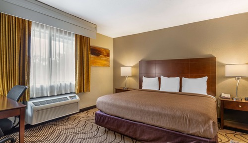 Standard Room, 1 King Bed, Accessible, Non Smoking (Walk-in Shower)