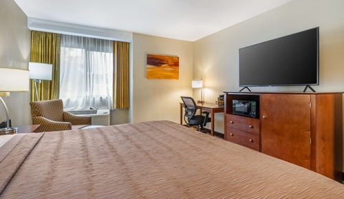 Standard Room, 1 King Bed, Non Smoking, Refrigerator & Microwave