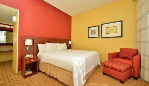 Suite, 1 King Bed with Sofa bed
