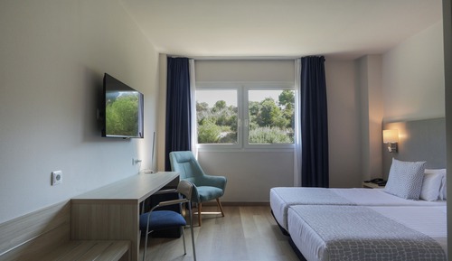 Executive Twin Room