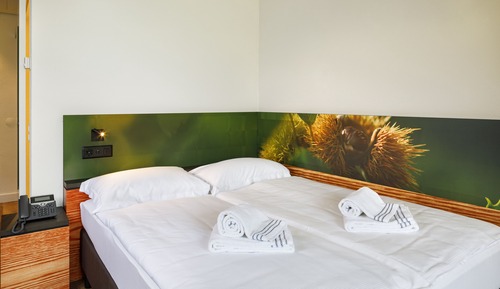 Room, 1 Queen Bed, Mobility Accessible, Air conditioning