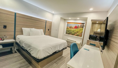 Room, 1 Queen Bed, Accessible, Non Smoking (Mobility/Hearing, Roll-In Shower)