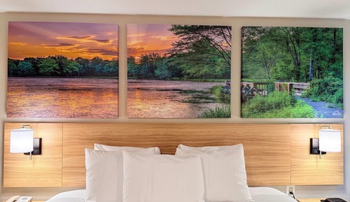 Room, 1 Double Bed, Refrigerator & Microwave