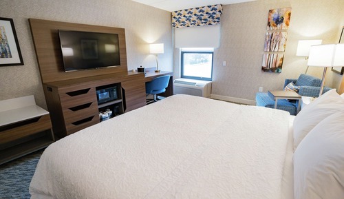 Room, 1 King Bed, Accessible (Roll-In Shower)