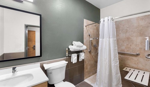 Room, 1 King Bed, Roll-in Shower (Mobility & Hearing)