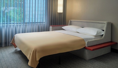 Room, 1 King Bed with Sofa bed