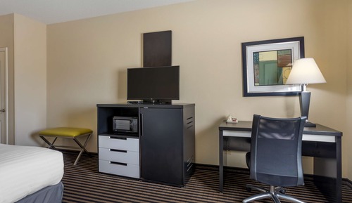 Standard Room, 1 King Bed, Non Smoking, Refrigerator & Microwave (Pet Friendly)