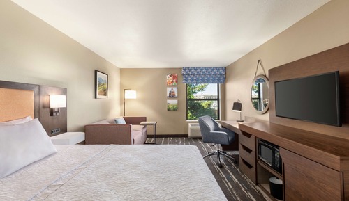 Room, 1 King Bed, Non Smoking