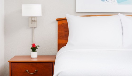 Suite, 2 Bedrooms (Mobility Accessible, Roll-In Shower)