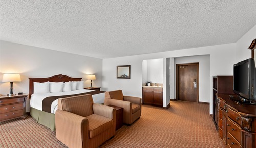 Standard Room, 1 King Bed, Accessible, Non Smoking (Walk-in Shower)