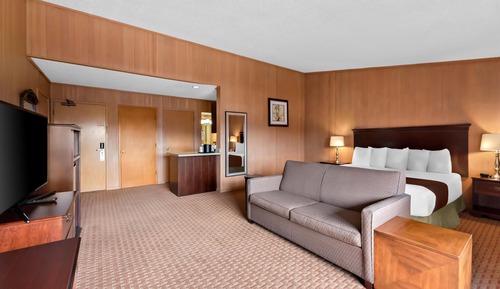 Standard Room, 1 King Bed, Non Smoking, Kitchenette (Larger Room;with Sofabed)