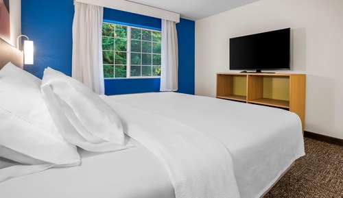 Room, 1 King Bed, Accessible (Mobility & Hearing, Roll-in Shower)