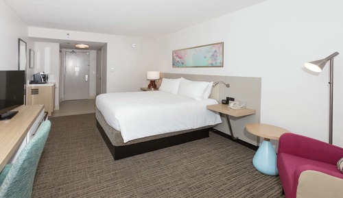 Deluxe Room, 1 King Bed (with Shower and Garden Tub)