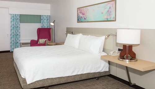 Room, 1 King Bed (Hearing)