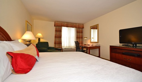Room, 1 King Bed