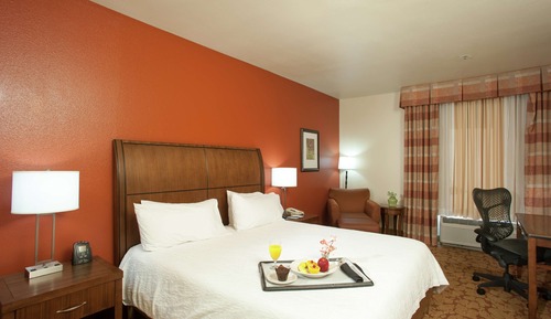 Room, 1 King Bed, Accessible (Roll-In Shower)
