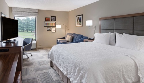 Room, 1 King Bed with Sofa bed, Non Smoking, Refrigerator & Microwave