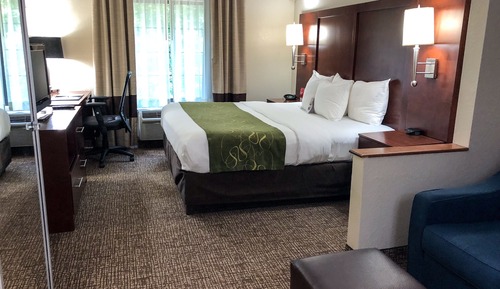 Suite, 1 King Bed with Sofa bed, Accessible, Non Smoking