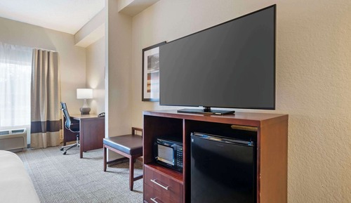 Room, 1 King Bed with Sofa bed, Accessible, Non Smoking (2 Person Sofa Bed)