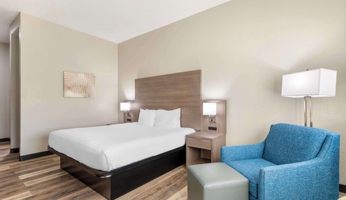 Standard Room, 1 King Bed, Accessible, Refrigerator & Microwave (Walk-in Shower)